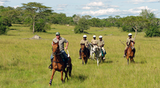 Uganda-Uganda-Lake Mburo Wildlife Horse Safari